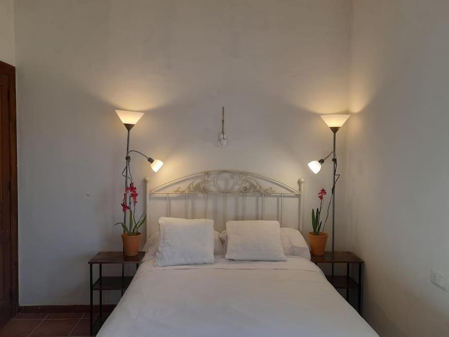 Casa De Las Lavandas, Avila Bagian luar foto